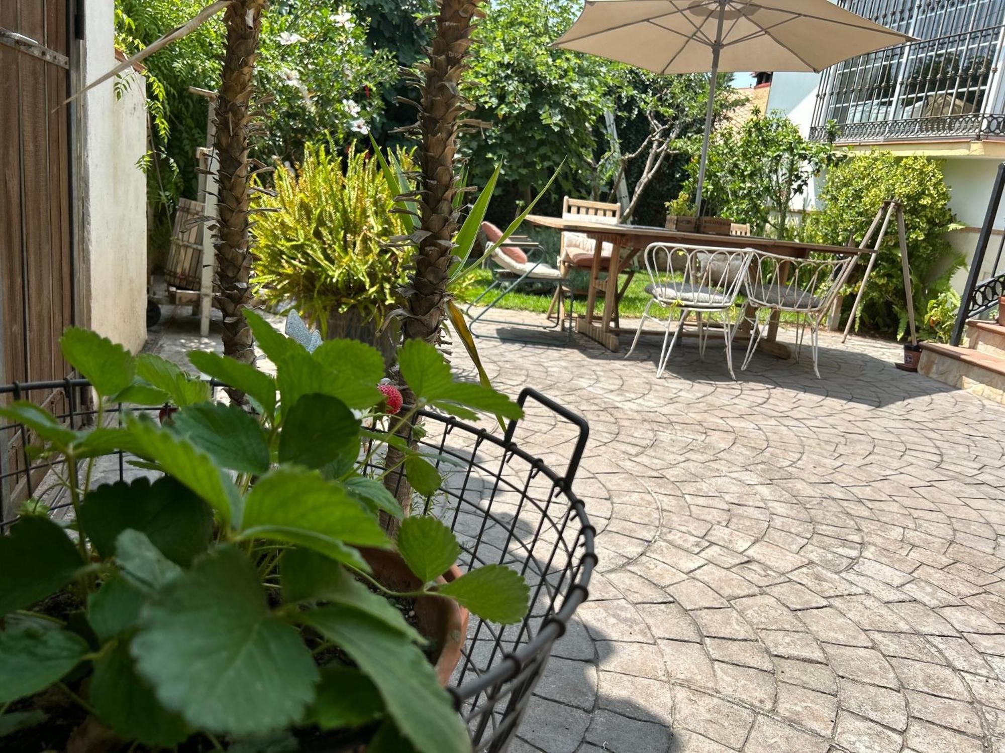 At Home In Malaga Stay & Solo Travellers Rincon de la Victoria Exterior photo